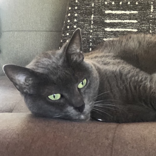 Sophie